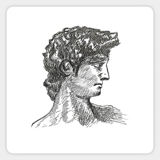 Michelangelo's David Magnet